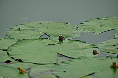 大改版！《暗黑破坏神4》S11 PTR 10月22日开始